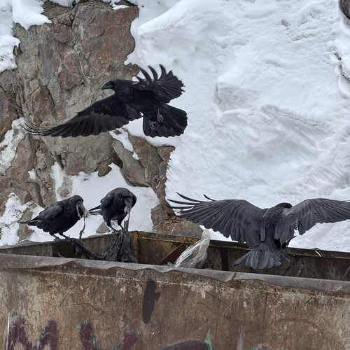 Photo #13717150
