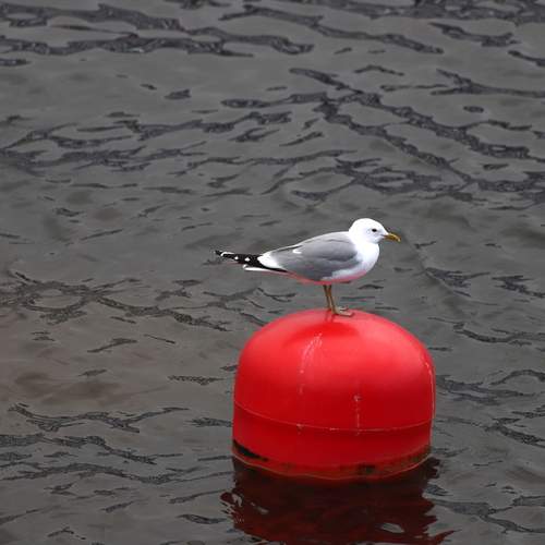 Photo #13717174