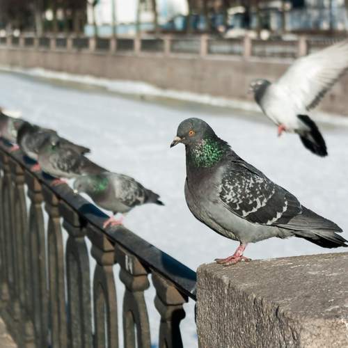 Photo #13717197