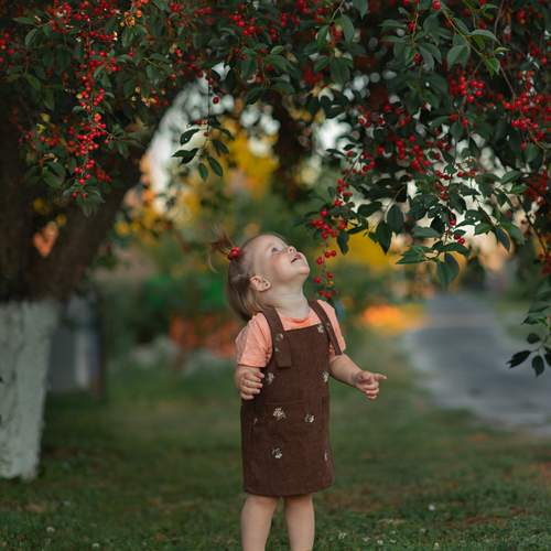 Photo #13717231