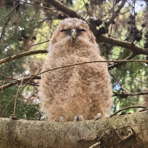 Photo #13717239