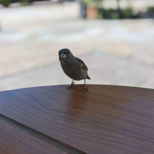 Photo #13717255