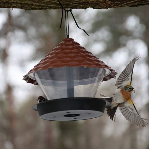 Photo #13717333