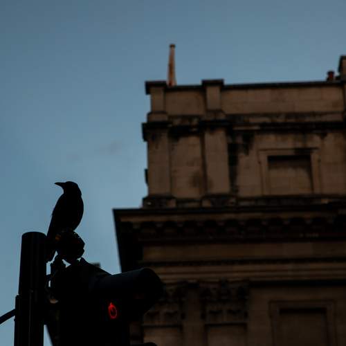 Photo #13717464