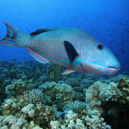 Photo #13717482