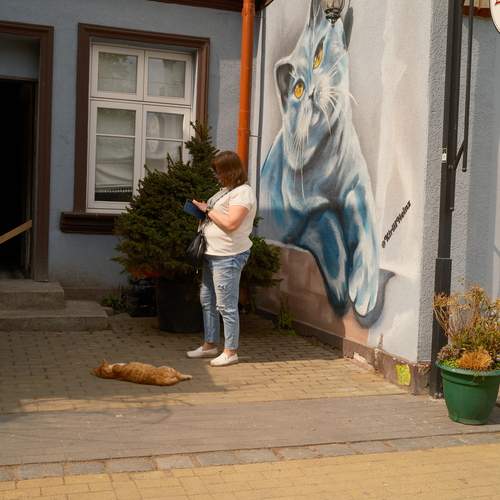 Photo #13717494