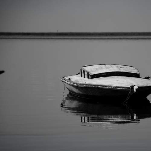 Photo #13717508