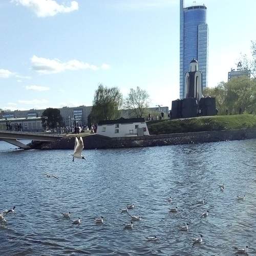 Photo #13717535