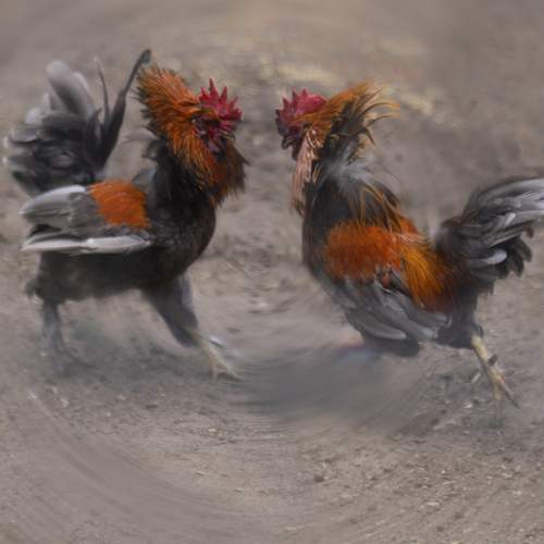 Photo #13717624