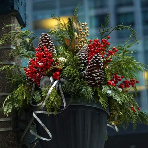 Photo #13717677
