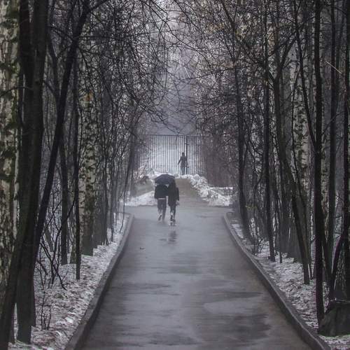 Photo #13717697