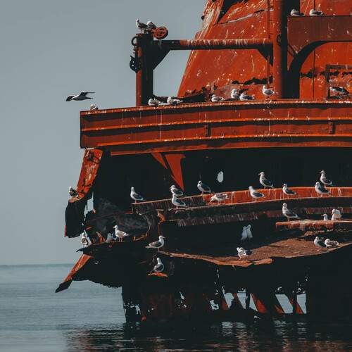 Photo #13717715