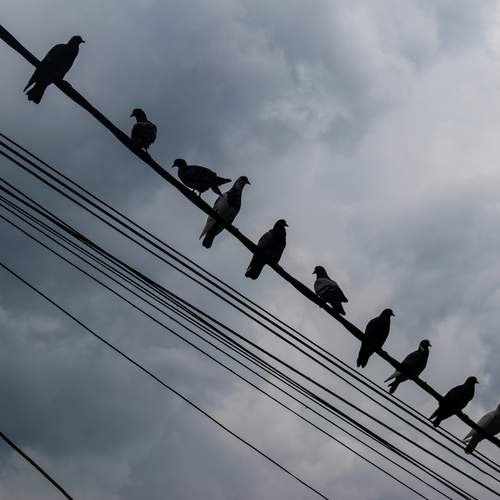 Photo #13717752