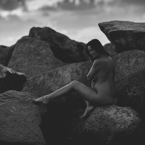 Photo #13717780