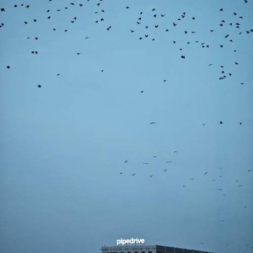 Photo #13717939