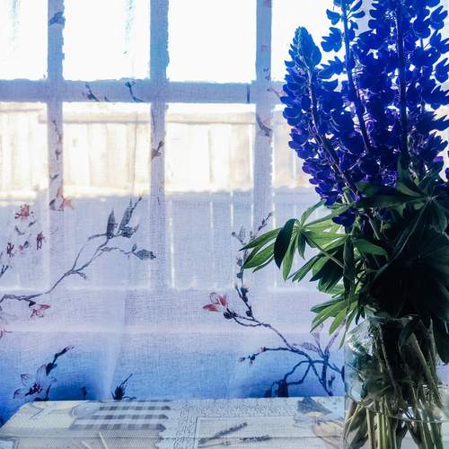 Photo #13717962