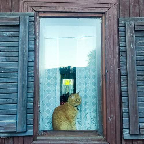 Photo #13717978
