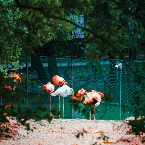 Photo #13718013