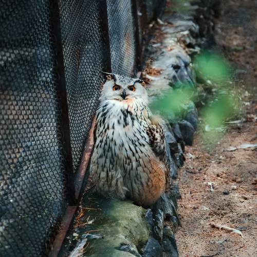 Photo #13718014