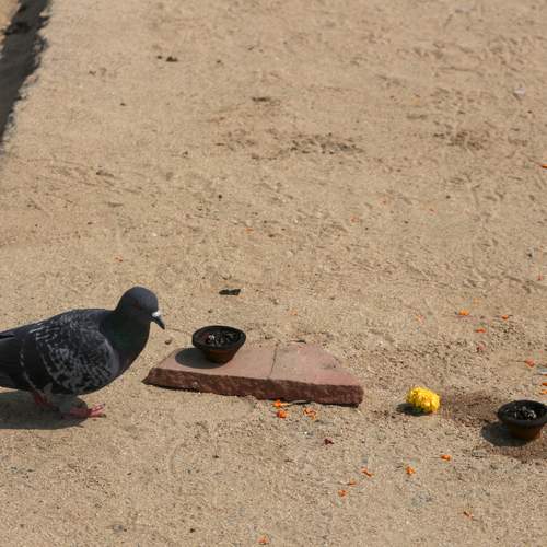 Photo #13718081