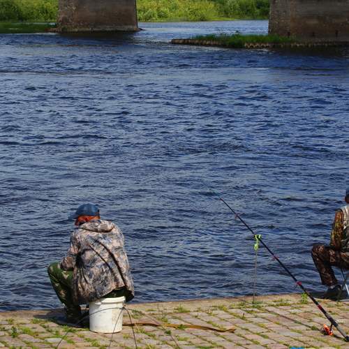 Photo #13718100