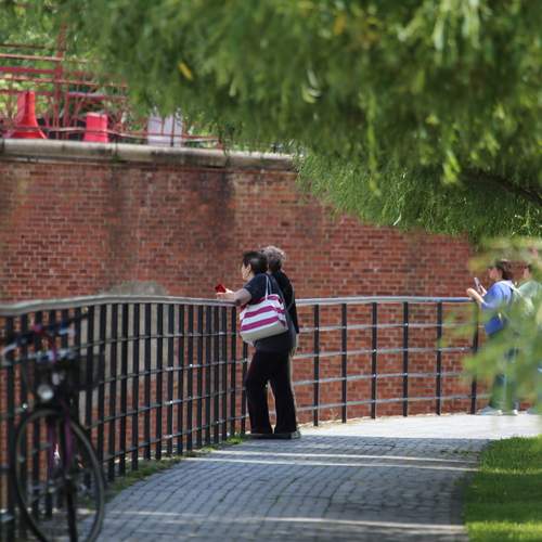 Photo #13718101