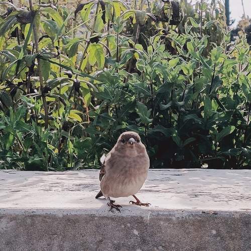 Photo #13718102