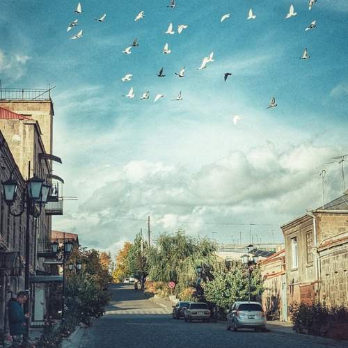 Photo #13718146