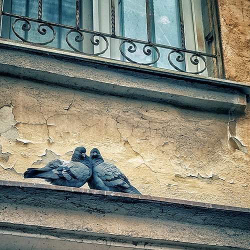 Photo #13718164