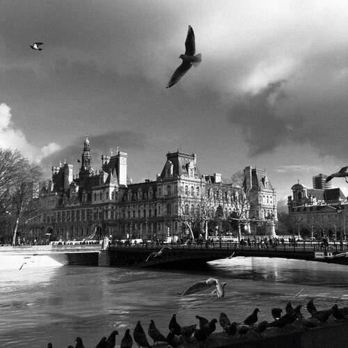 The Air of Paris