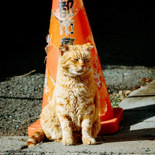 Photo #13718377
