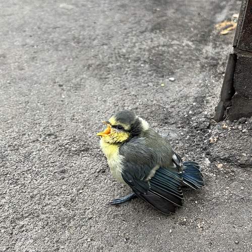 Photo #13718396