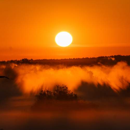 Sunrise