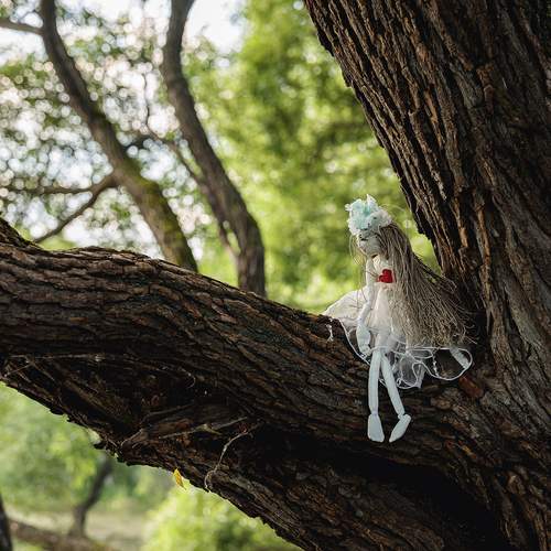 Photo #13718463
