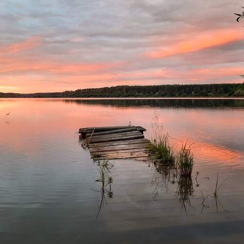 Photo #13718485