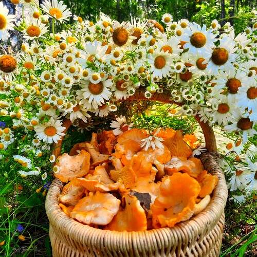 Photo #13718498