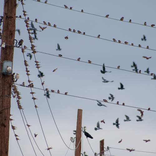 Photo #13718552