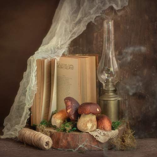 Photo #13718556
