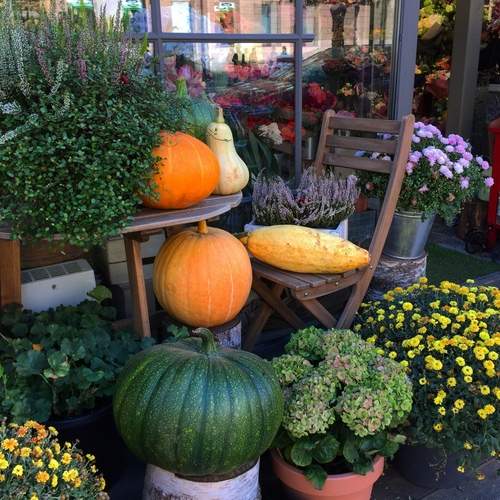 Photo #13718583