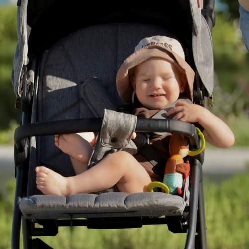 Photo #13718688