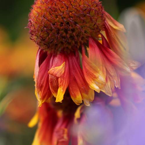 Photo #13718724