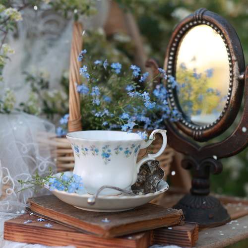 Photo #13718753