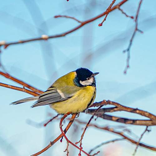 Photo #13718798