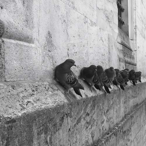The Board Meeting