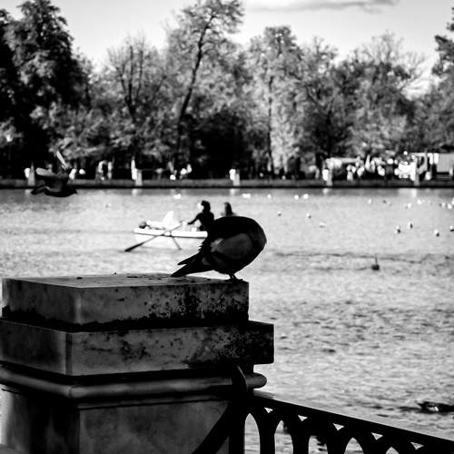 Photo #13718858