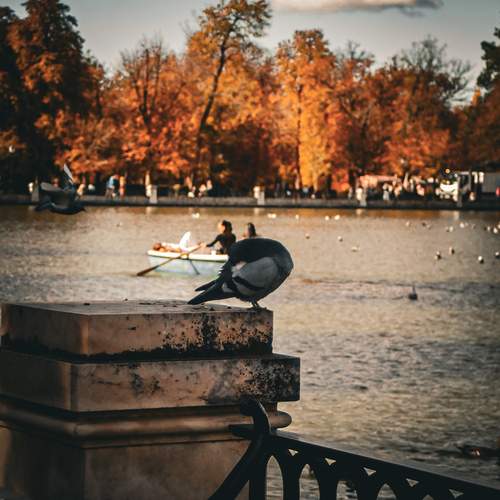 Photo #13718859