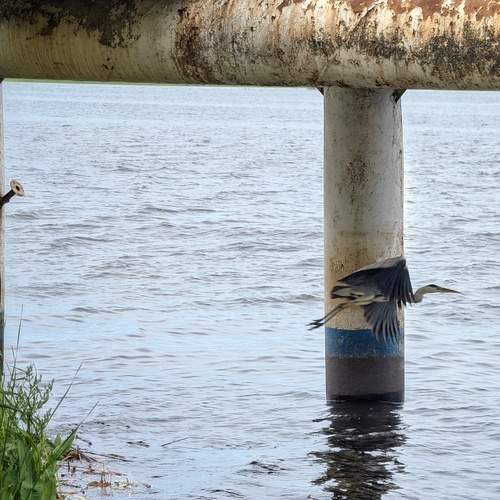 Photo #13718873