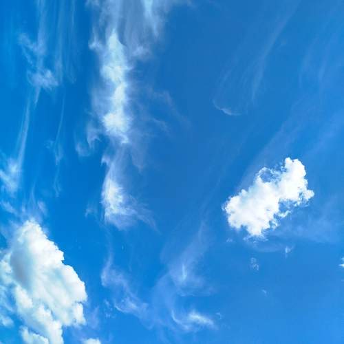 Photo #13718931