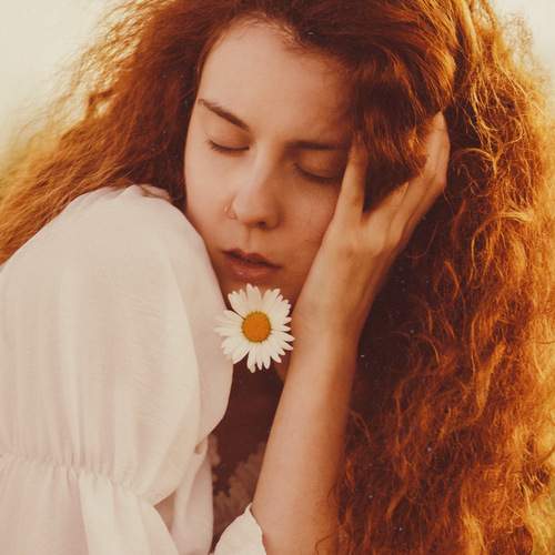 Photo #13719001