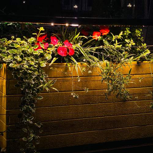 Photo #13719042